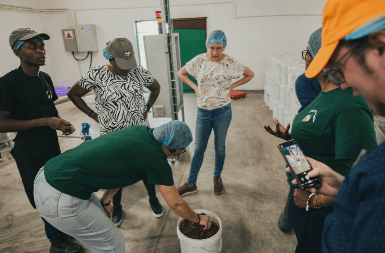 Organic Zambian Forest Honey 2