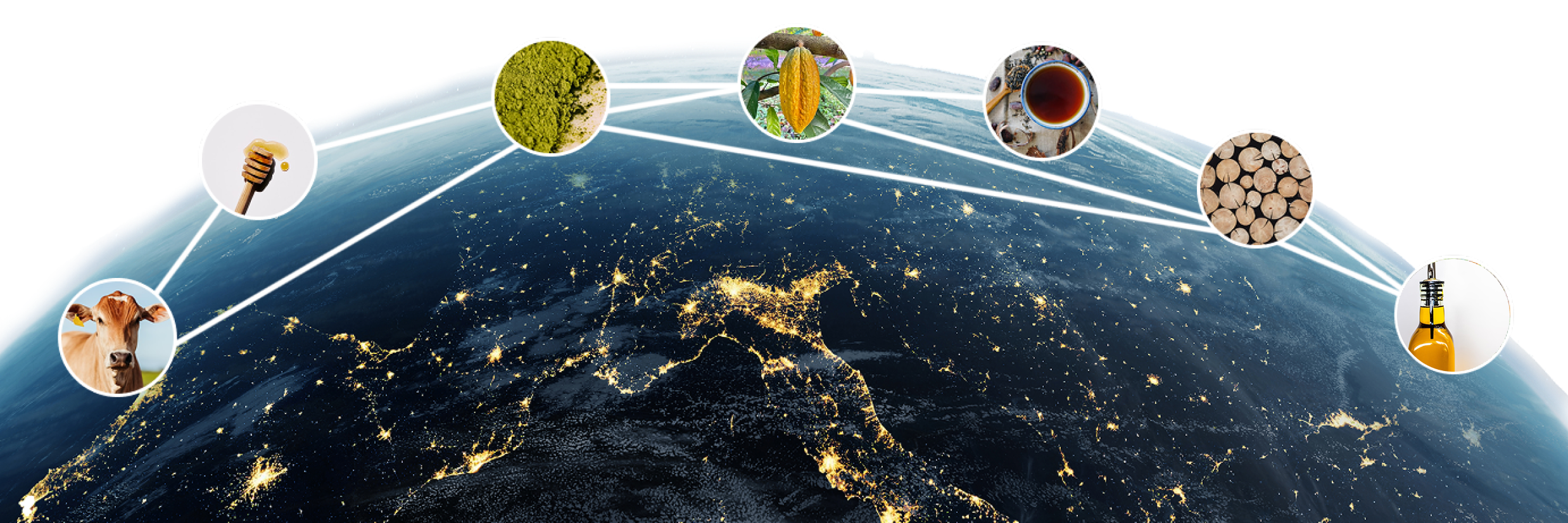 Global Traceability Network